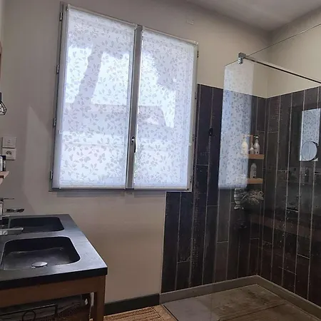 Feriehus Maison A Royan Avec Piscine Pour 5 Personnes - Fr-1-494-191