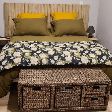 Maison A Royan Avec Piscine Pour 5 Personnes - Fr-1-494-191 *