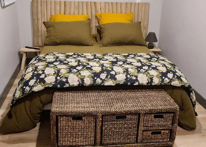 Maison A Royan Avec Piscine Pour 5 Personnes - Fr-1-494-191 *